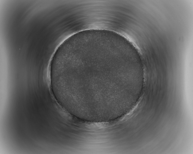 X0000095131078200712211325