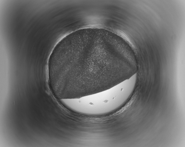 X0000095131079200712211325