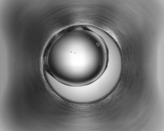 X0000095131080200712211325