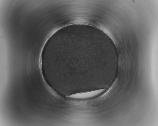 X0000095131082200712211325