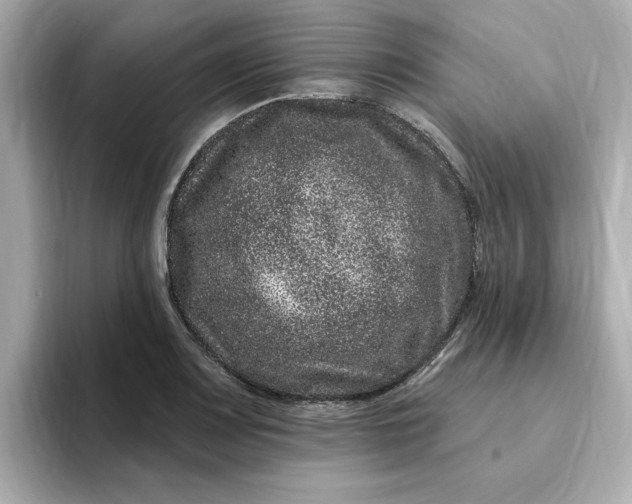 X0000095131083200712211325