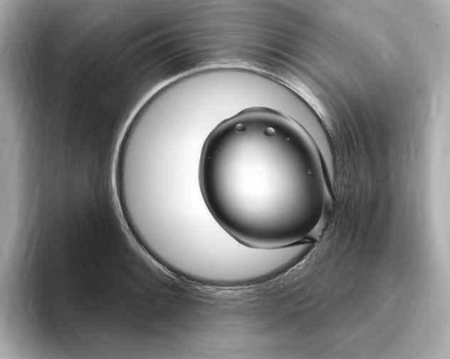 X0000095131084200712211325