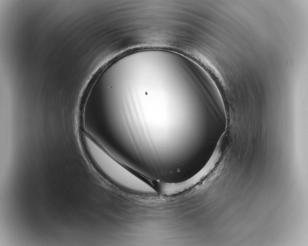 X0000095131085200712211325