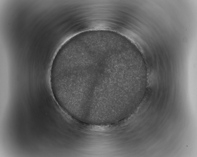 X0000095131086200712211325