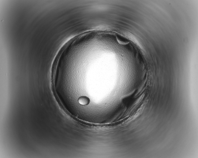 X0000095131087200712211325