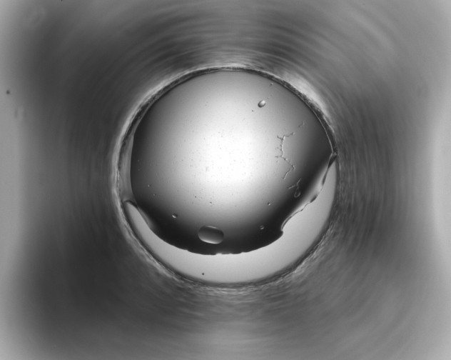 X0000095131088200712211325