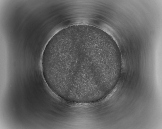 X0000095131090200712211325