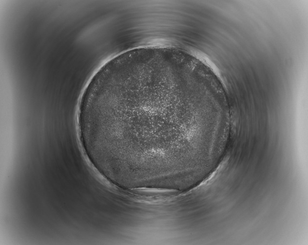 X0000095131091200712211325