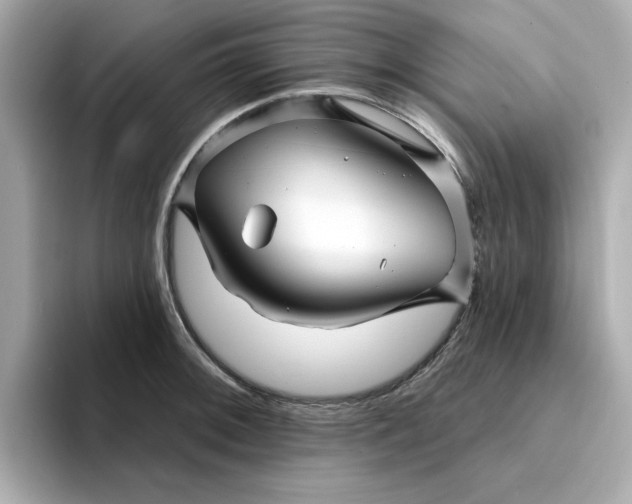 X0000095131092200712211325