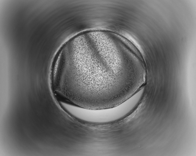 X0000095131093200712211325