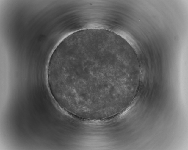 X0000095131094200712211325