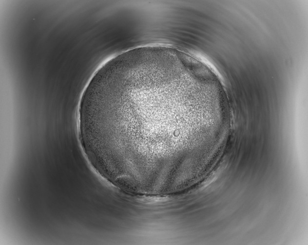 X0000095131095200712211325