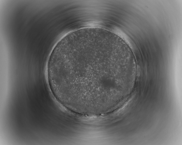 X0000095131098200712211325