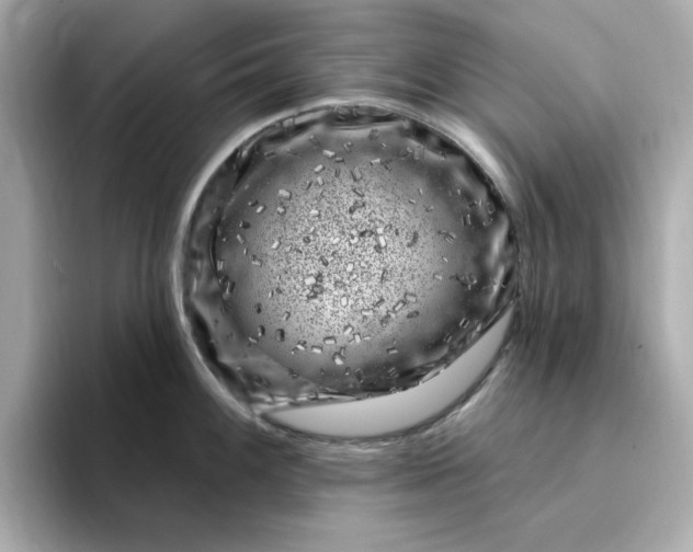 X0000095131100200712211325