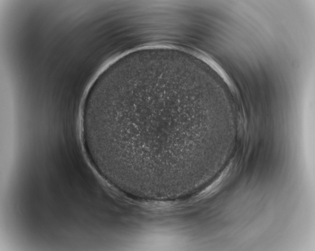 X0000095131101200712211325