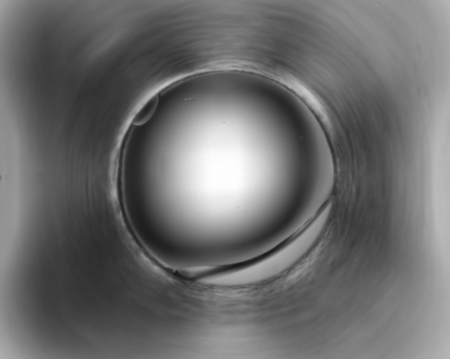 X0000095131102200712211325