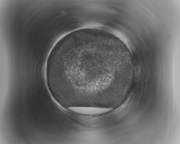 X0000095131103200712211325