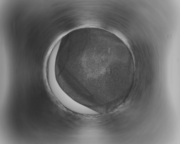 X0000095131104200712211325