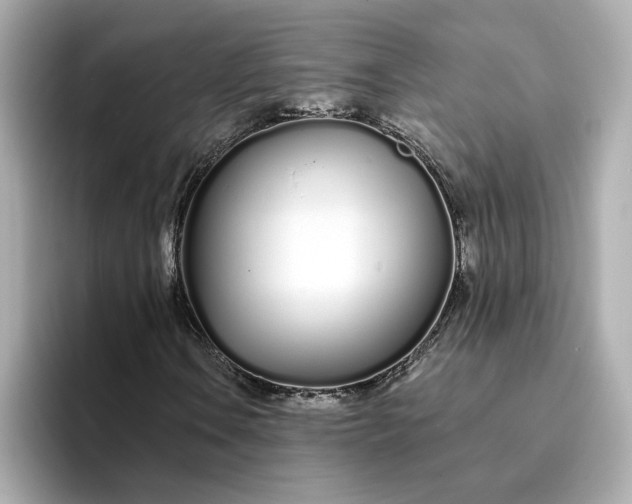 X0000095131106200712211324