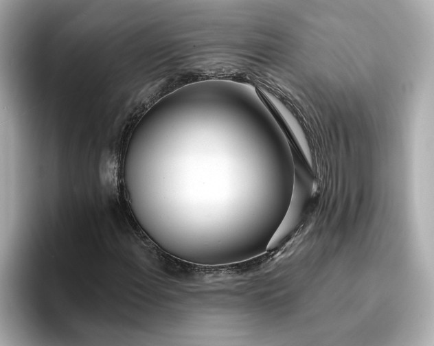 X0000095131108200712211324