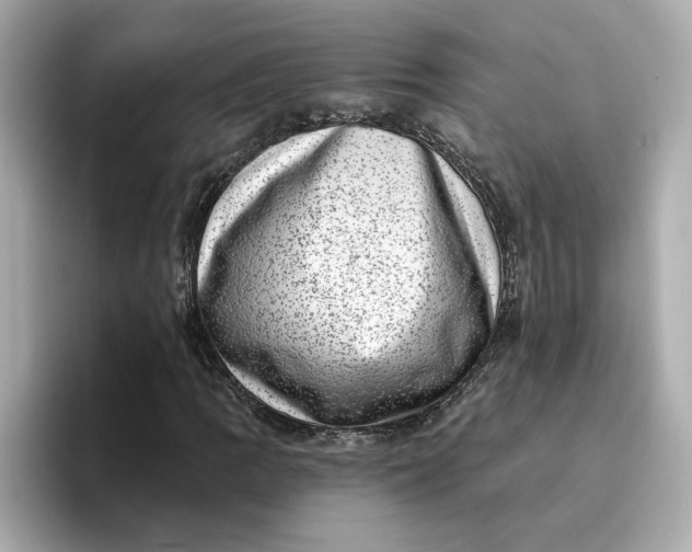 X0000095131109200712211324