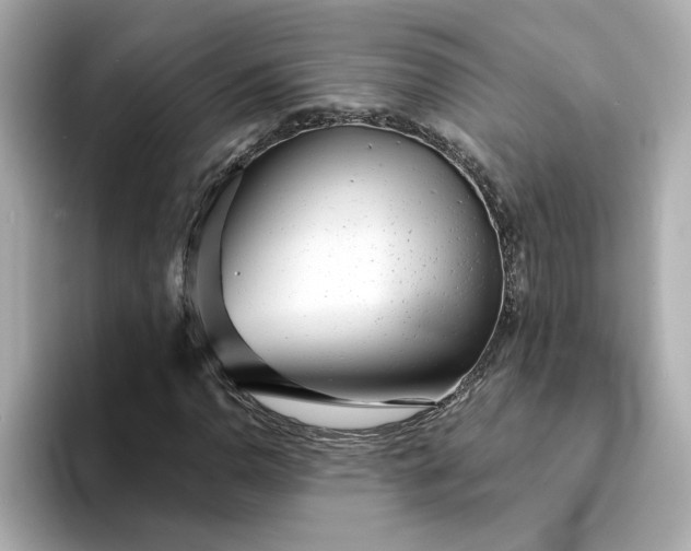 X0000095131110200712211324