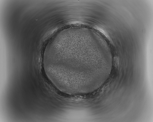 X0000095131111200712211324