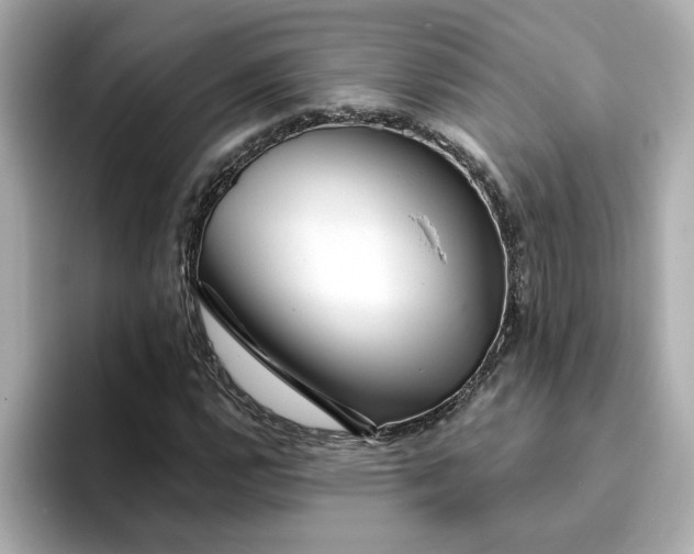 X0000095131112200712211324