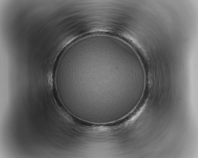 X0000095131113200712211324