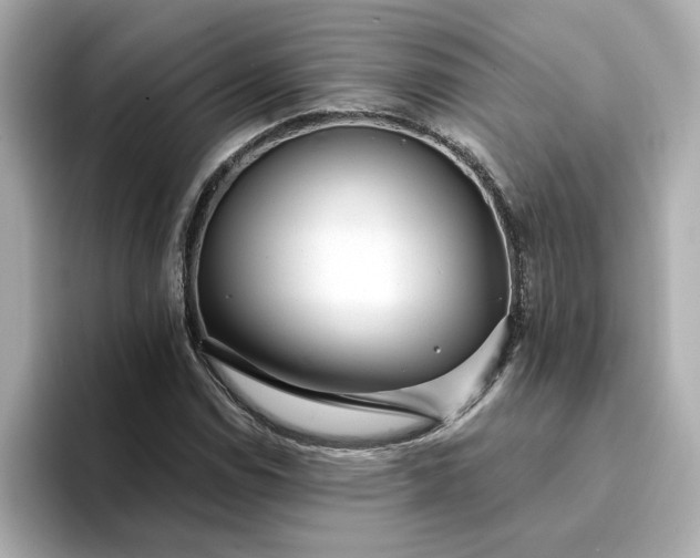 X0000095131114200712211324