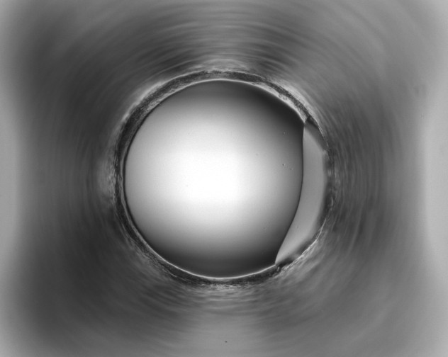 X0000095131115200712211324