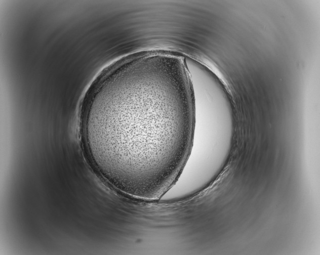 X0000095131116200712211324