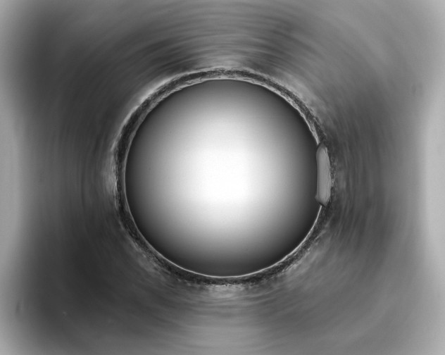 X0000095131118200712211324