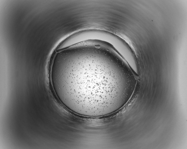 X0000095131120200712211324