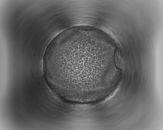 X0000095131121200712211324