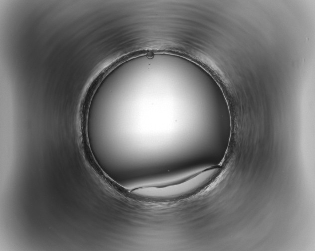 X0000095131122200712211324