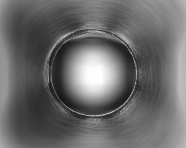 X0000095131123200712211324