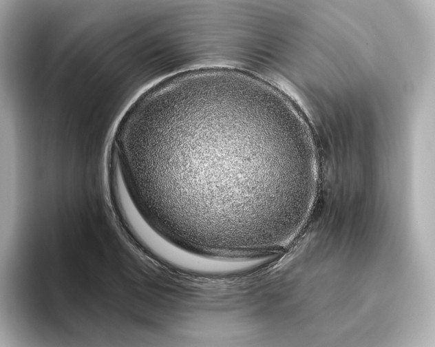 X0000095131124200712211324