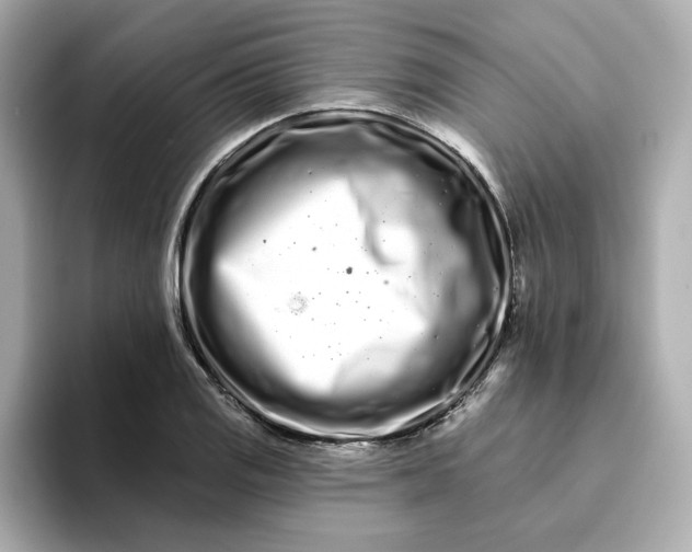 X0000095131125200712211324