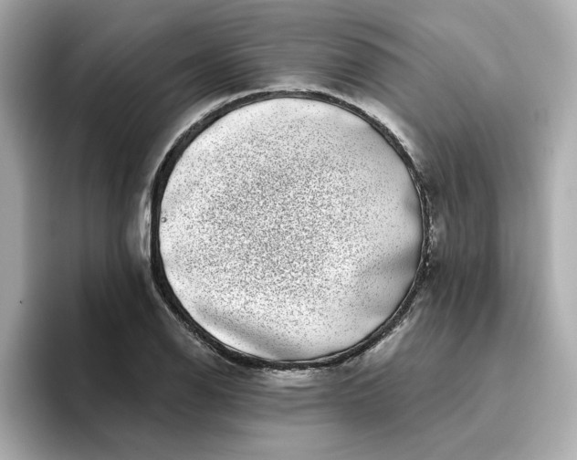 X0000095131126200712211324