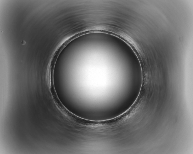 X0000095131127200712211324