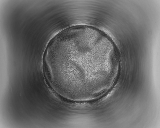 X0000095131129200712211324