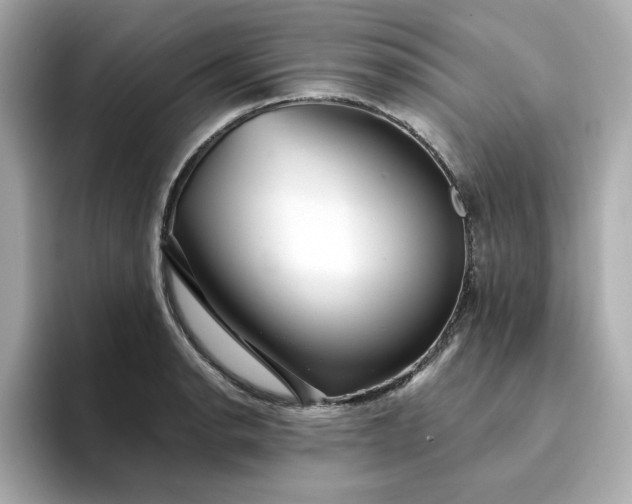 X0000095131134200712211324