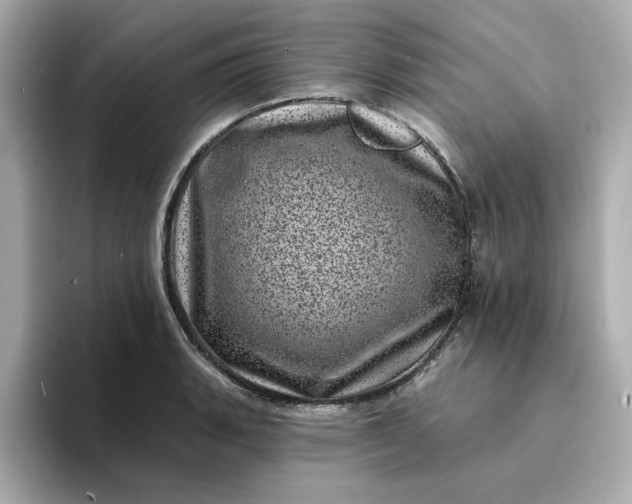 X0000095131135200712211324