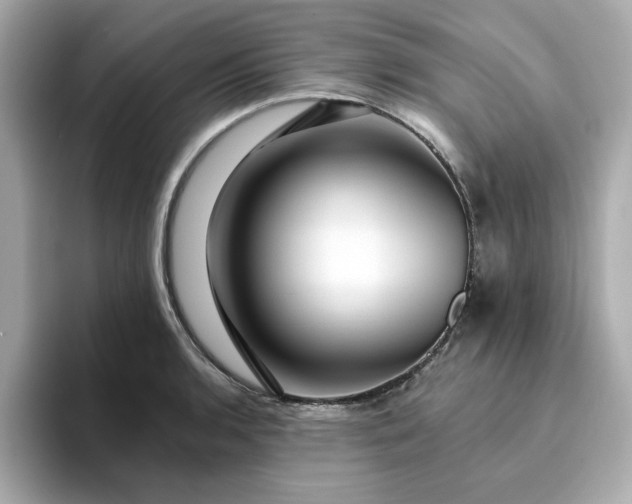 X0000095131136200712211324