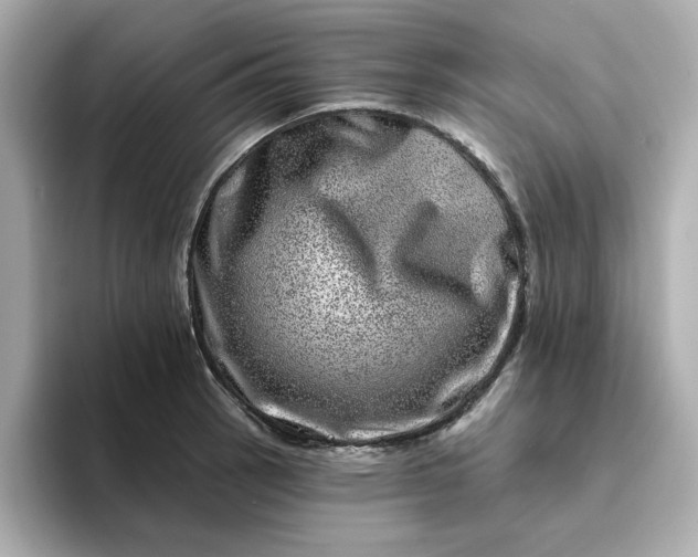 X0000095131137200712211324