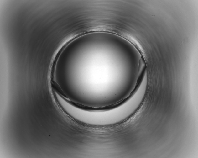 X0000095131138200712211324