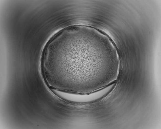 X0000095131139200712211324