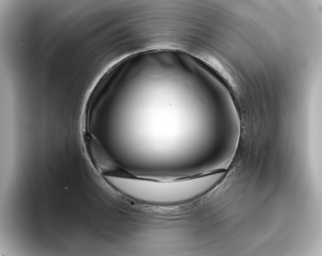 X0000095131140200712211324