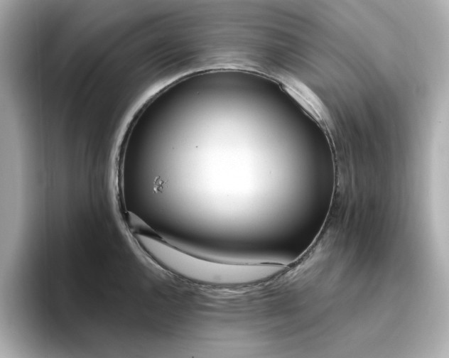 X0000095131144200712211325